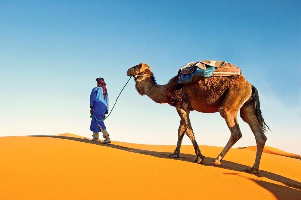 Camel trekking e campo nel deserto di Zagora