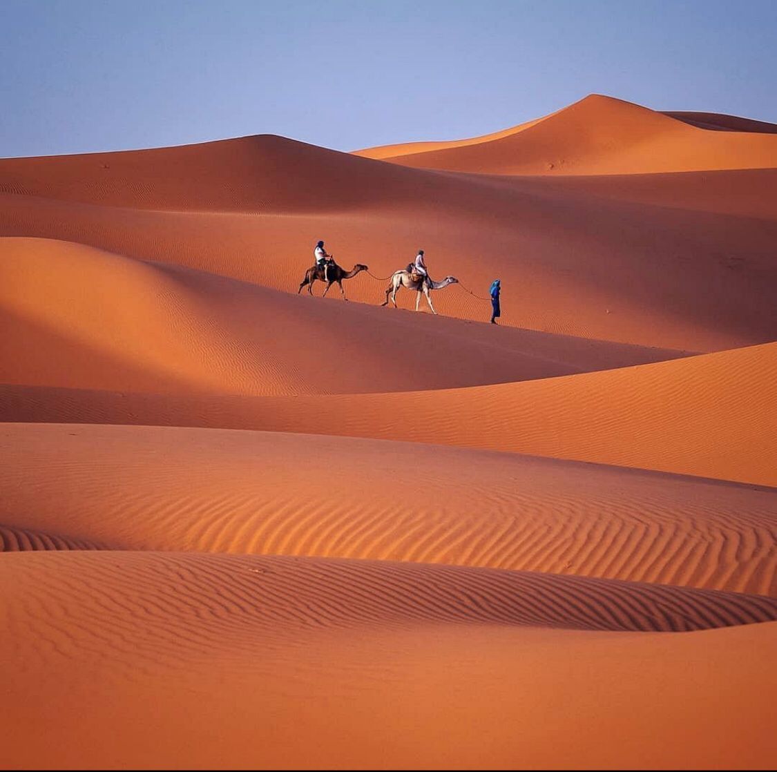 Camel trekking e campo nel deserto di Erg Chebbi