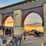 Da Meknes i migliori Tour ed Escursioni