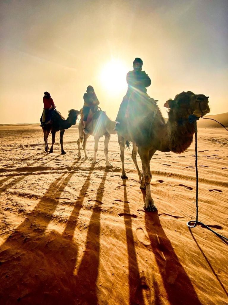 Tour di 2 giorni da Meknes al deserto di Merzouga - Trekking in cammello