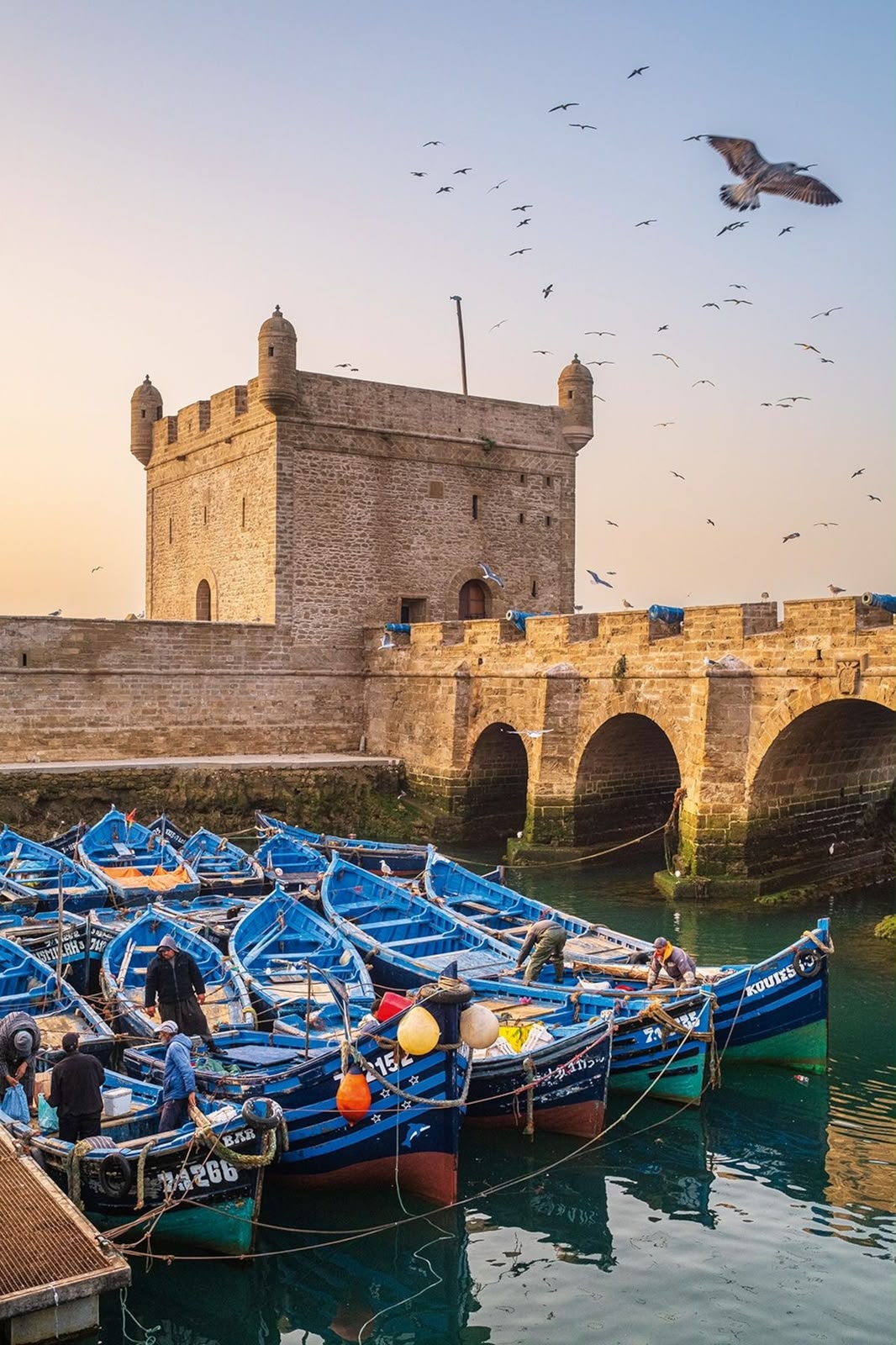 Escursione privata da Marrakech a Essaouira