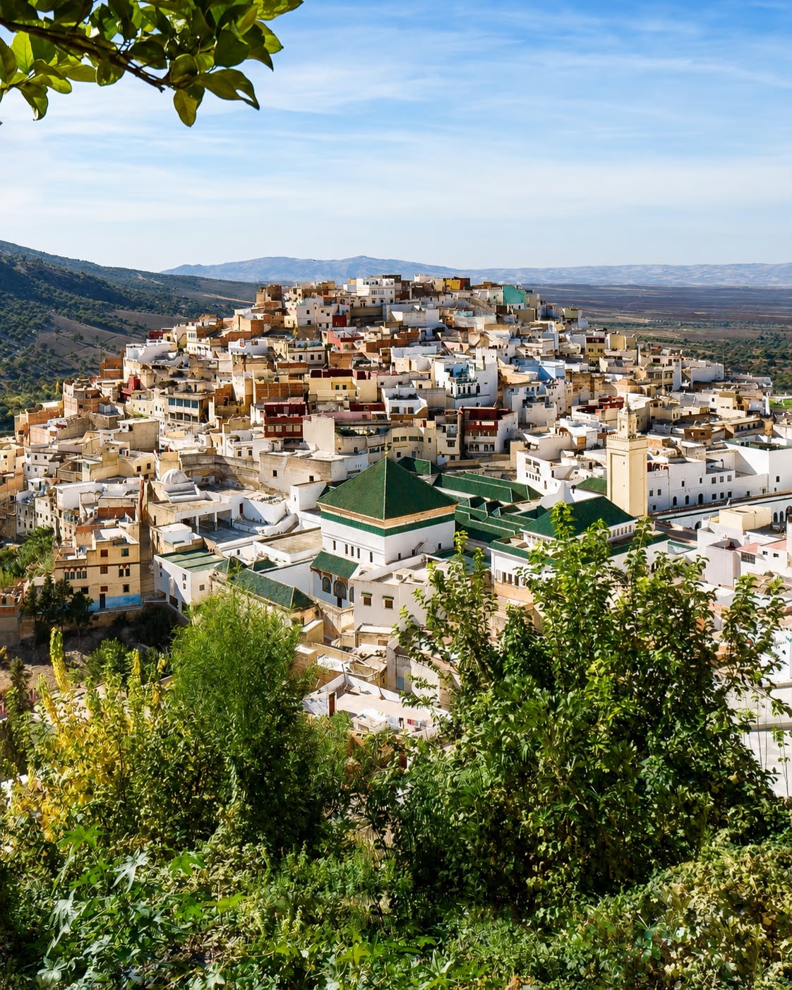Escursione privata da Fès a Volubilis, Moulay Idriss e Meknès