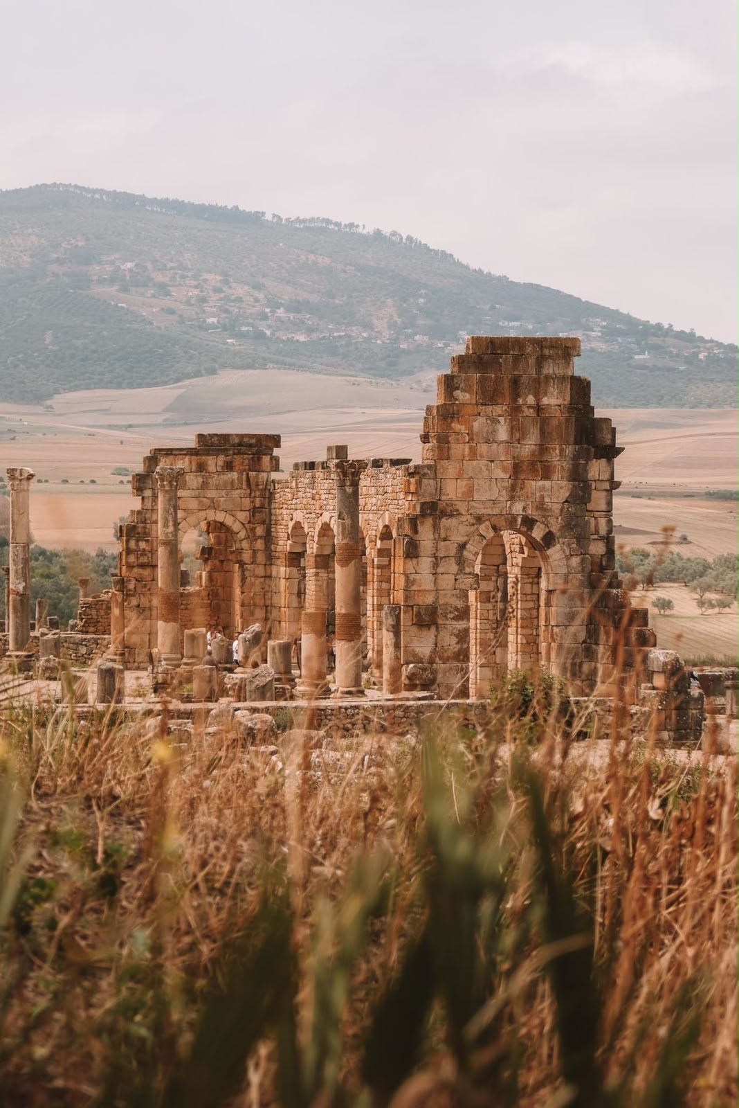 Tour del Marocco tra città imperiali e deserto del Sahara