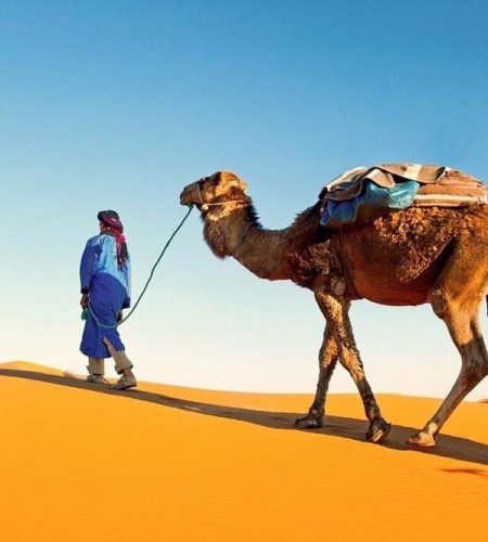 Tour di 2 giorni da Marrakech al deserto di zagora - Esperienze di Zagora